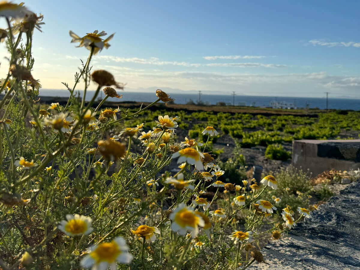 Things to see in Santorini The unique beauty of Santorini