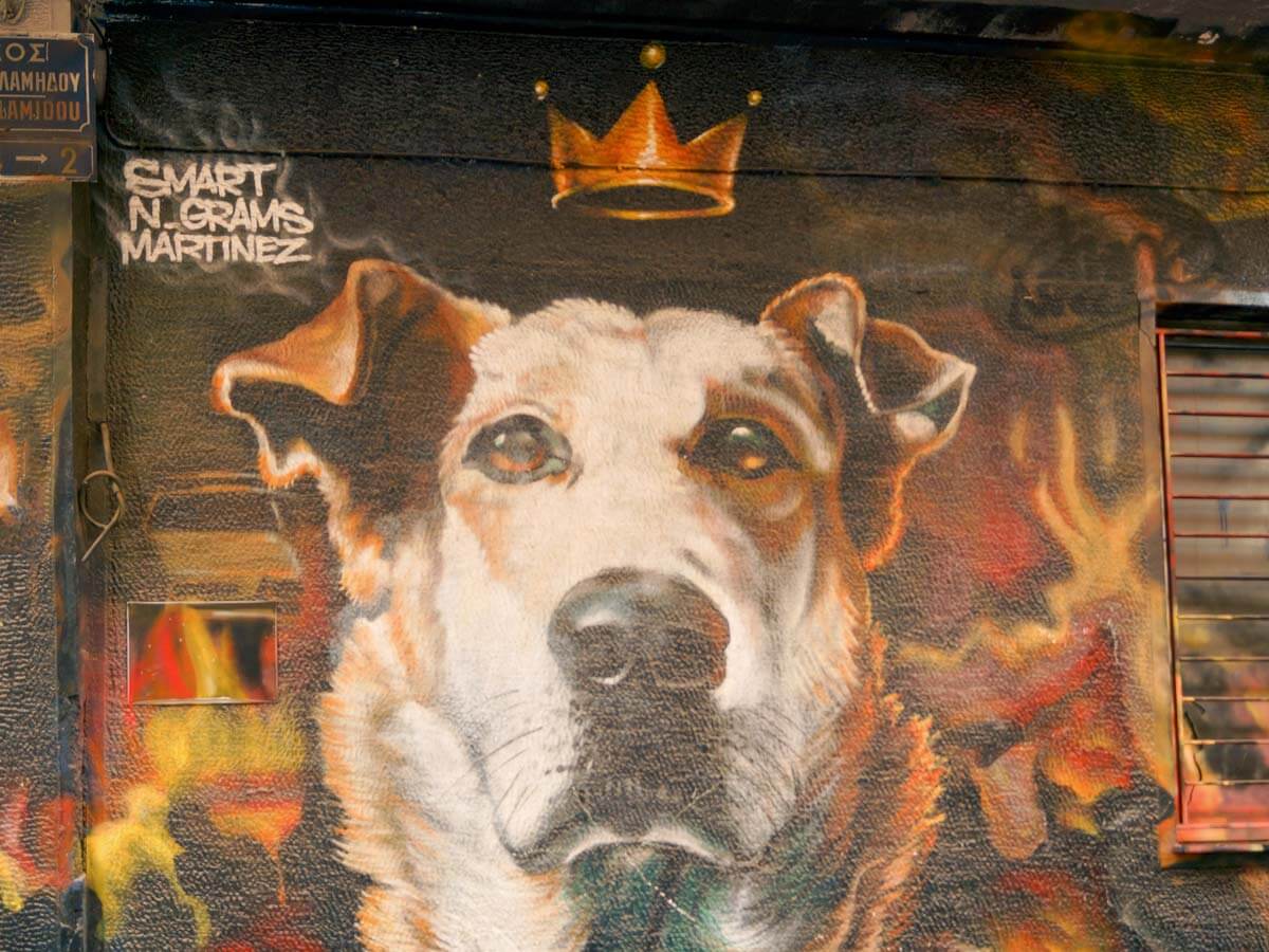 Photo credit: @Greek TravelTellers 'Loukanikos' graffiti by street artist Vassilis Griparis