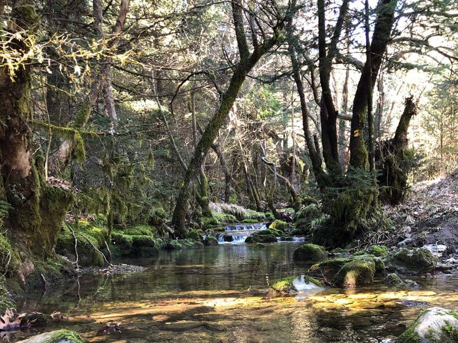 Hiking in Mainalo, day trip from Athens